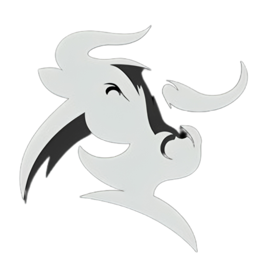 logo not found